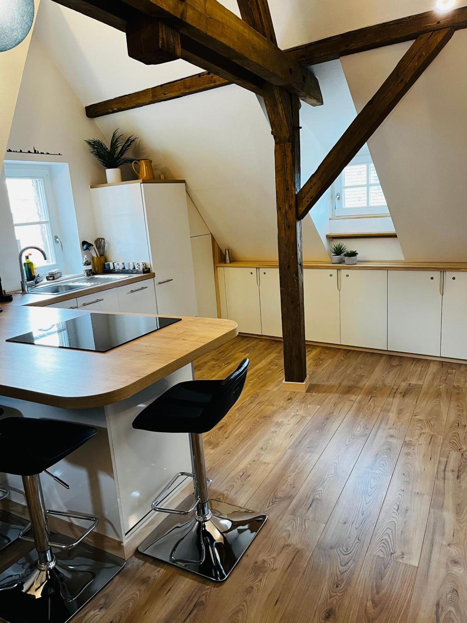 Appartement Le Loft Colmar